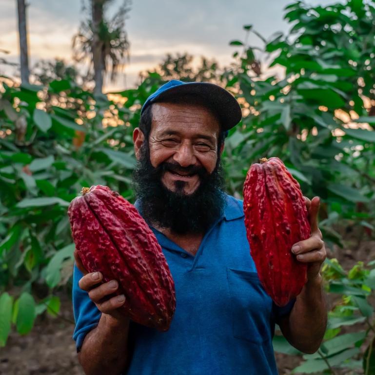 Imagen principal del producto Planta un árbol de cacao a distancia