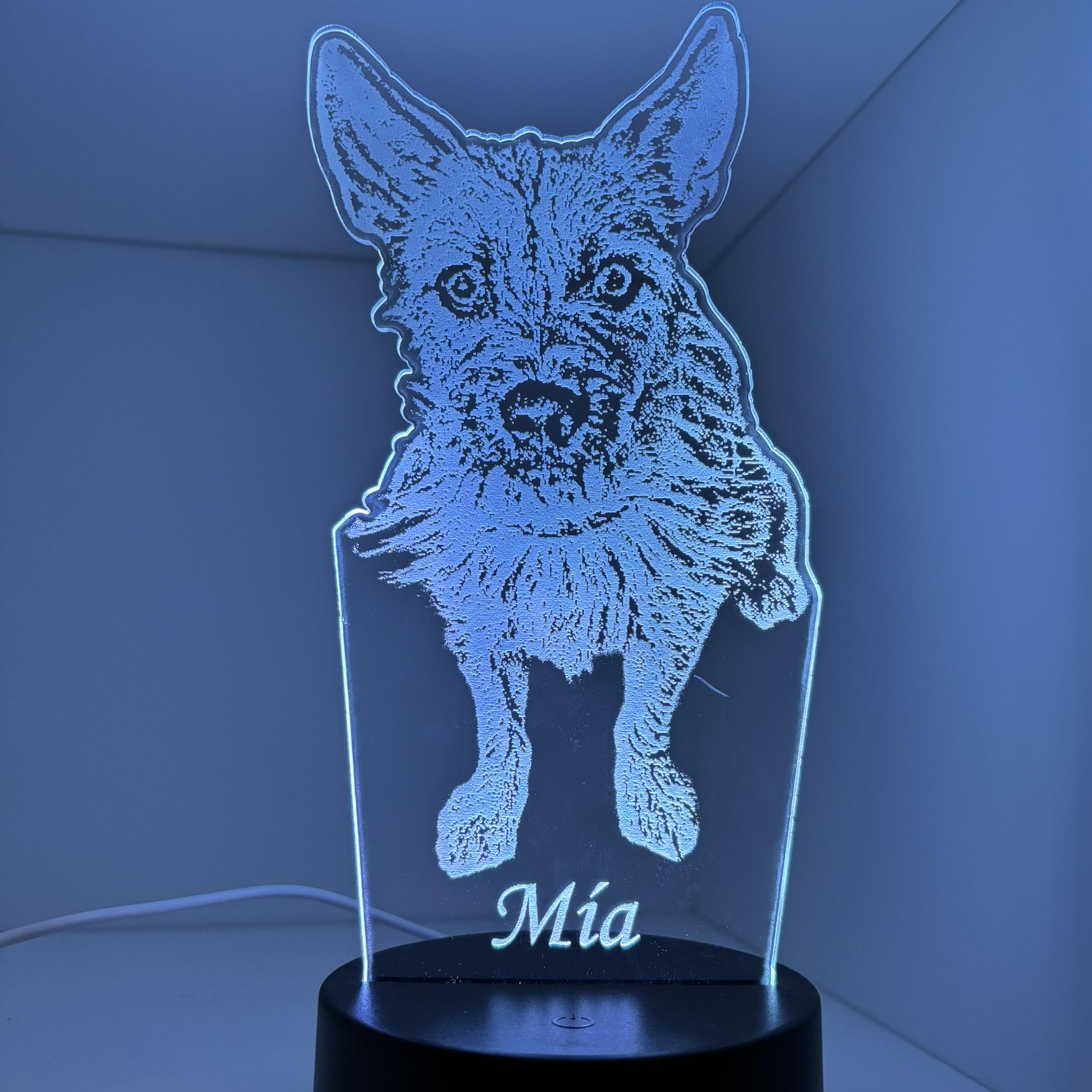 Imagen principal del producto Lámpara Mascota con Base Led