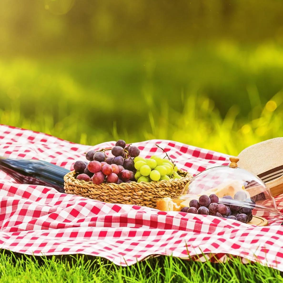 Imagen principal del producto Manta de picnic impermeable