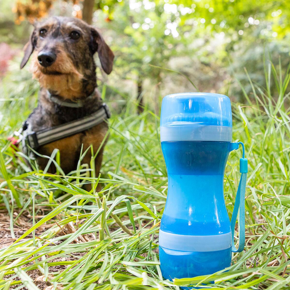 Imagen principal del producto Botella con depósito de agua y comida para mascota...