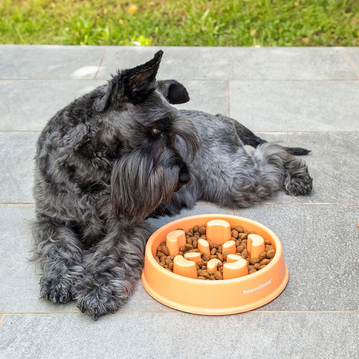 Imagen principal del producto Comedero de alimentación lenta para mascotas